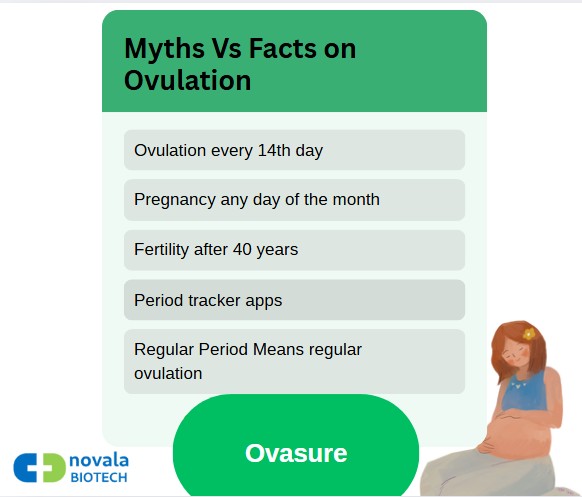 Myths and Facts About Ovulation and Fertility 