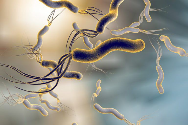 H PYLORI Antigen test kits: Revolutionizing precision and accessibility in H Pylori diagnostics