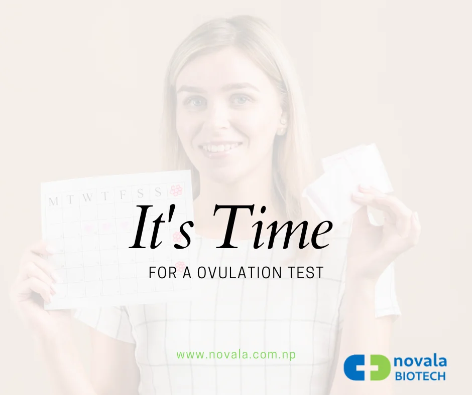 Trying to Conceive? Here’s When to Take an Ovulation Test
